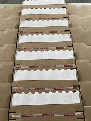 テープ塗布機械100m/min FlexoホールダーのGluer自動二重味方された機械